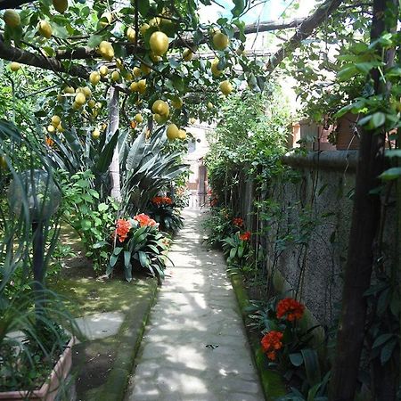 Anthea Sorrento住宿加早餐旅馆 外观 照片