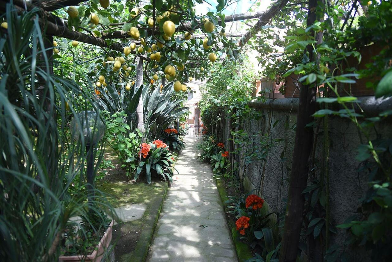 Anthea Sorrento住宿加早餐旅馆 外观 照片