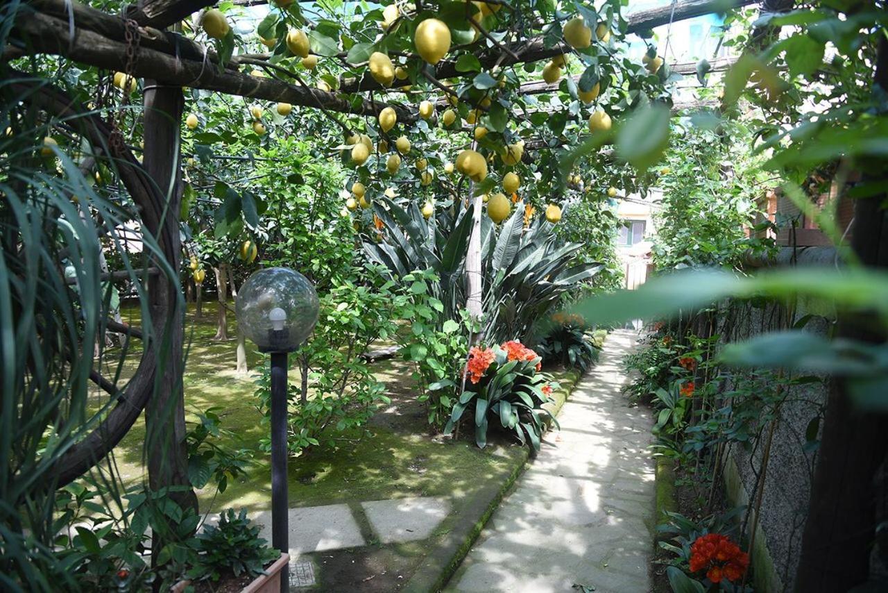 Anthea Sorrento住宿加早餐旅馆 外观 照片