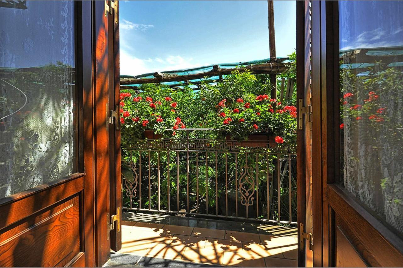 Anthea Sorrento住宿加早餐旅馆 外观 照片